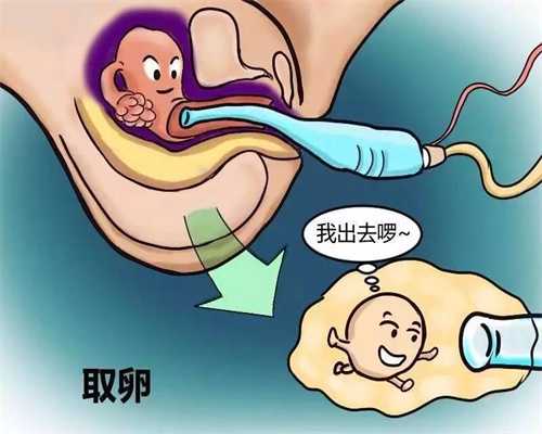 北京代孕生殖_北京试管婴儿女性可以找代孕吗_CT检查后多久可以喂奶