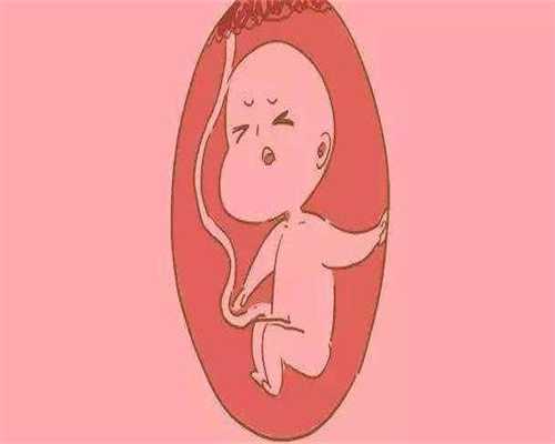 北京三代供卵试管_多囊卵巢做供卵试管婴儿_2020年代孕哪家好_代孕生子微信群