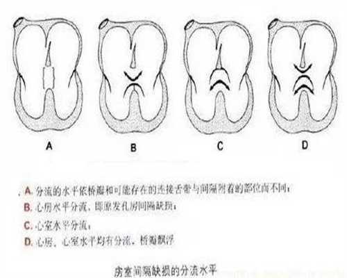 北京金贝供卵医院合法吗_北京专业供卵试管婴儿_孕吐通常持续多长时间消失